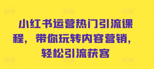 小红书运营热门引流课程，带你玩转内容营销，轻松引流获客-优优云网创