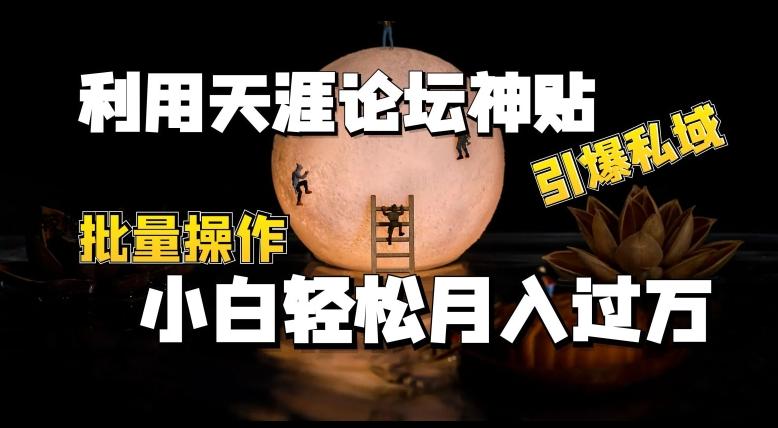 利用天涯论坛神贴，引爆私域，批量操作，小白轻松月入过w【揭秘】-优优云网创
