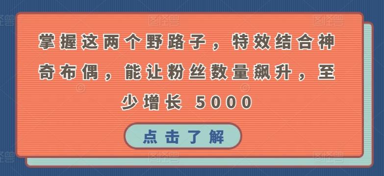掌握这两个野路子，特效结合神奇布偶，能让粉丝数量飙升，至少增长 5000【揭秘】-优优云网创