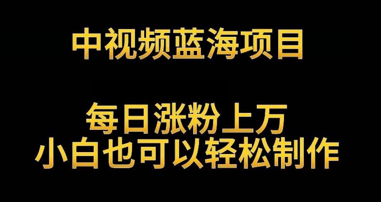 中视频蓝海项目，解读英雄人物生平，每日涨粉上万，小白也可以轻松制作，月入过万不是梦【揭秘】-优优云网创
