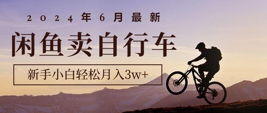 2024年6月最新闲鱼卖自行车，新手小白轻松月入3w+项目-优优云网创
