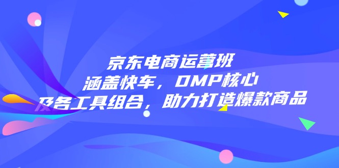 京东电商运营班：涵盖快车，DMP核心及各工具组合，助力打造爆款商品-优优云网创