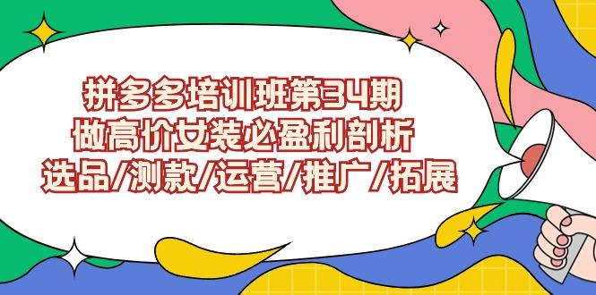 (9333期)拼多多培训班第34期：做高价女装必盈利剖析  选品/测款/运营/推广/拓展-优优云网创