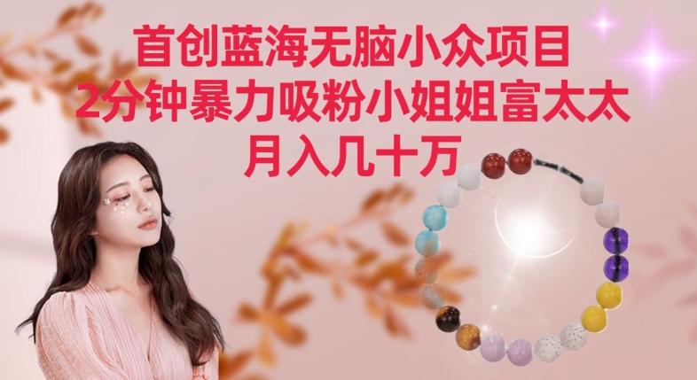 首创蓝海无脑小众项目，2分钟暴力吸粉小姐姐富太太，月入几十万【揭秘】-优优云网创