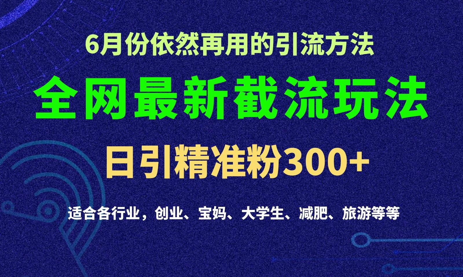 2024全网最新截留玩法，每日引流突破300+-优优云网创