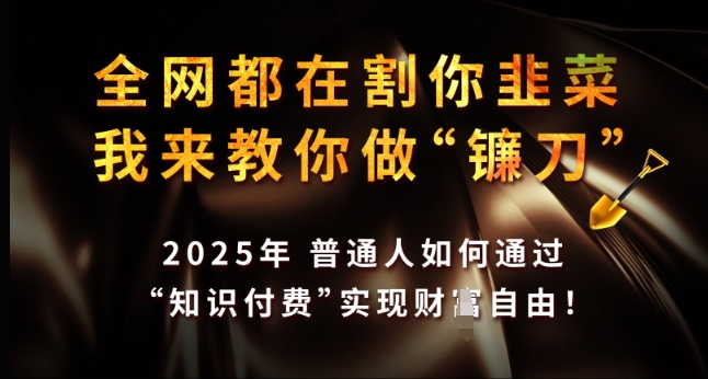 全网都在割你韭菜，我来教你做镰刀，2025年普通人如何通过 知识付费 实现财F自由【揭秘】-优优云网创