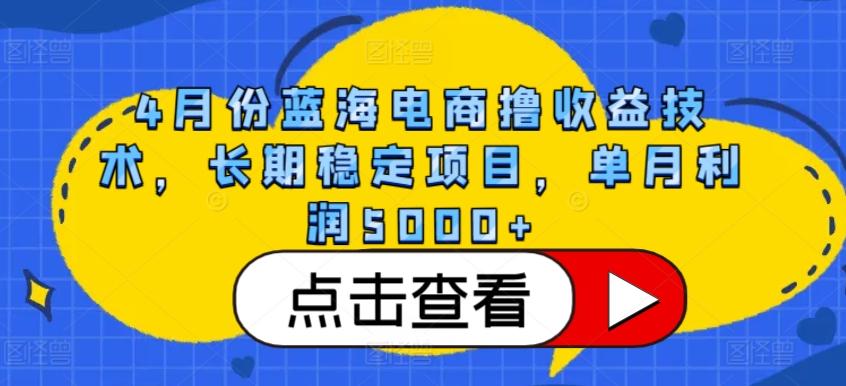 4月份蓝海电商撸收益技术，长期稳定项目，单月利润5000+【揭秘】-优优云网创