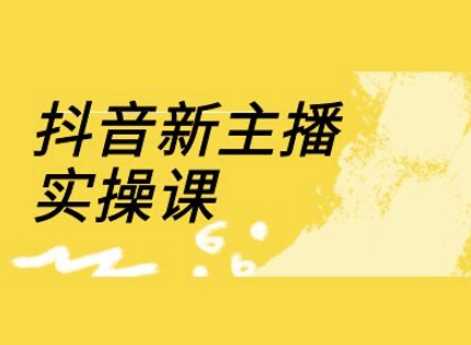 抖音新主播实操课，直播间流量运营线上实操课(18节)-优优云网创