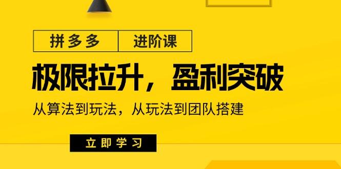 拼多多·进阶课：极限拉升/盈利突破：从算法到玩法 从玩法到团队搭建-18节-优优云网创