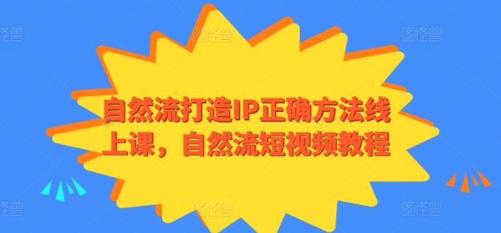 自然流打造IP正确方法线上课，自然流短视频教程-优优云网创
