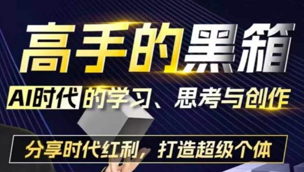 高手的黑箱：AI时代学习、思考与创作-分红时代红利，打造超级个体-优优云网创