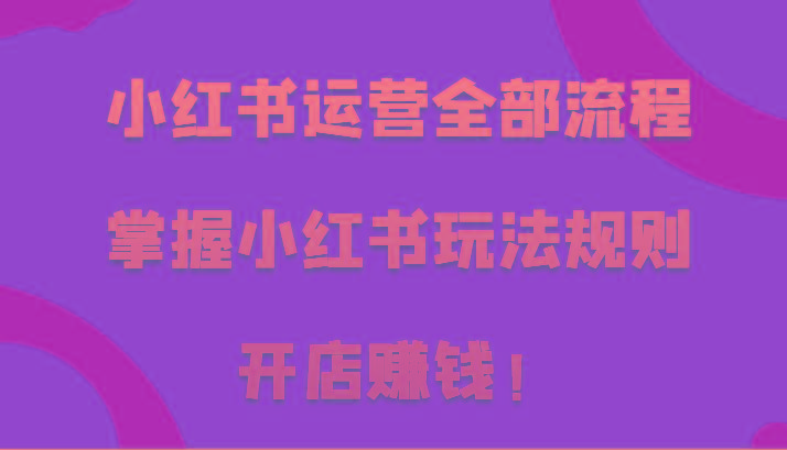 小红书运营全部流程，掌握小红书玩法规则，开店赚钱！-优优云网创