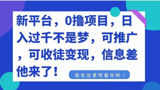 不要再花冤枉钱了，0撸项目，每天坚持，稳定1000+-优优云网创
