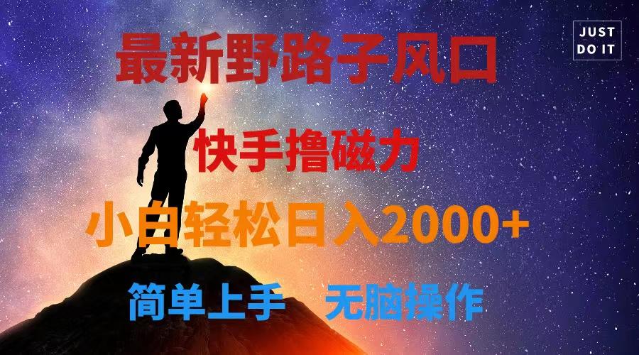 最新风口！快手撸磁力，野路子，小白无脑操作日入2000+-优优云网创