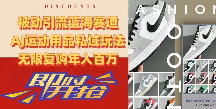 被动引流蓝海赛道，AJ运动用品私域玩法，无限复购年入百万【揭秘】-优优云网创