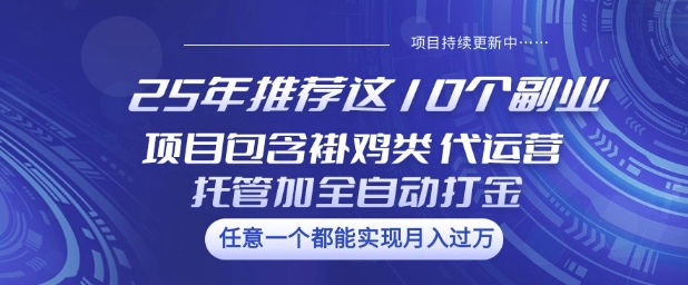 25年推荐这10个副业项目包含褂鸡类、代运营托管类、全自动打金类【揭秘】-优优云网创
