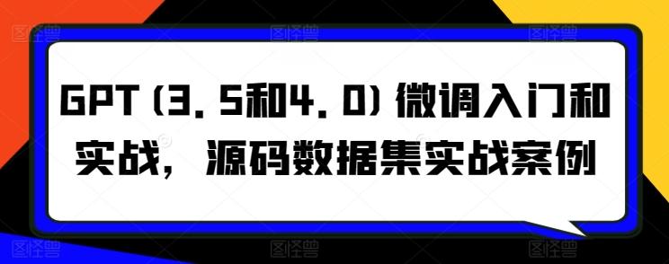 GPT(3.5和4.0)微调入门和实战，源码数据集实战案例-优优云网创