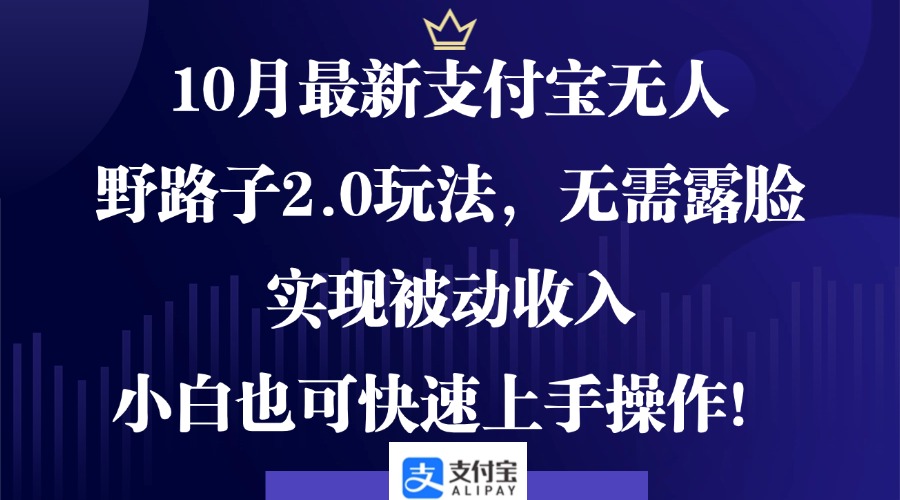 10月最新支付宝无人野路子2.0玩法，无需露脸，实现被动收入，小白也可…-优优云网创