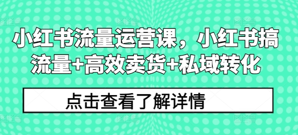 小红书流量运营课，小红书搞流量+高效卖货+私域转化-优优云网创