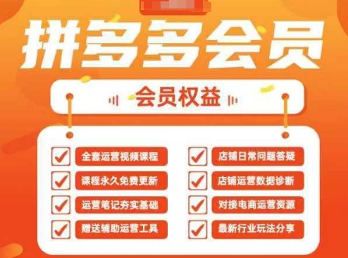2025拼多多运营实战课，40节全流程教学，覆盖拼多多运营全链路-优优云网创
