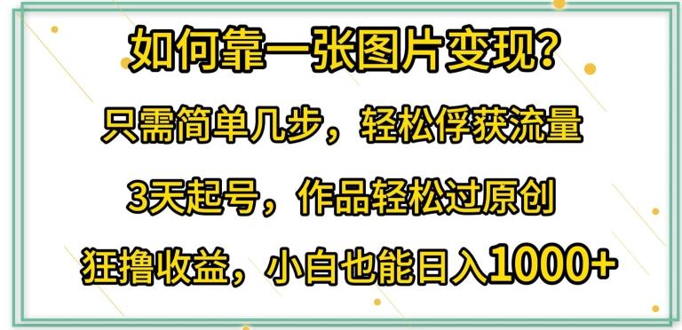如何靠一张图片变现?只需简单几步，轻松俘获流量，3天起号，作品轻松过原创【揭秘】-优优云网创