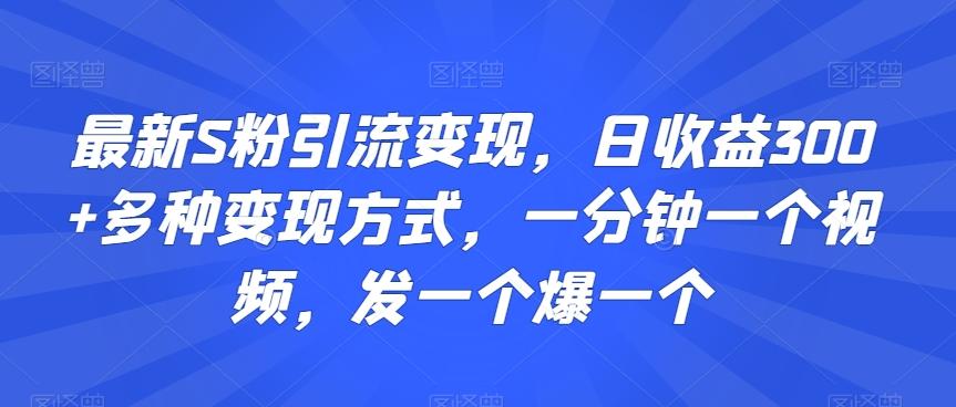 最新S粉引流变现，日收益300+多种变现方式，一分钟一个视频，发一个爆一个【揭秘】-优优云网创