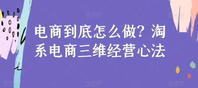 电商到底怎么做？淘系电商三维经营心法-优优云网创