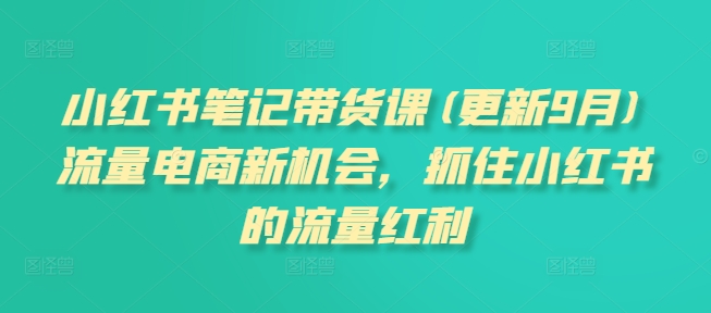 小红书笔记带货课(更新25年3月)流量电商新机会，抓住小红书的流量红利-优优云网创
