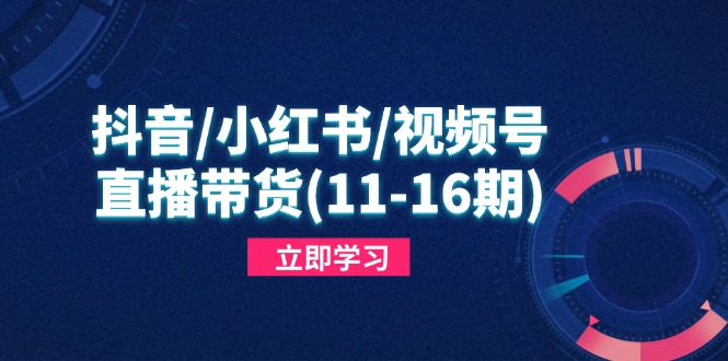 抖音/小红书/视频号/直播带货(11-16期-优优云网创