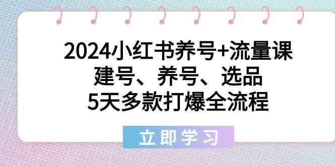 2024小红书养号+流量课：建号、养号、选品，5天多款打爆全流程-优优云网创