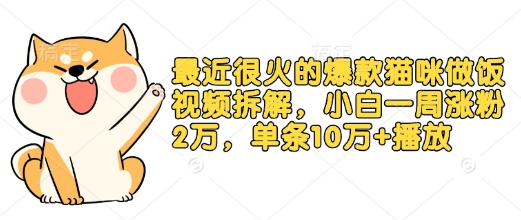最近很火的爆款猫咪做饭视频拆解，小白一周涨粉2万，单条10万+播放(附保姆级教程)-优优云网创