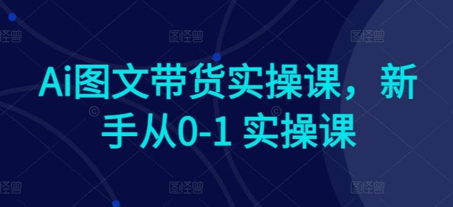 Ai图文带货实操课，新手从0-1 实操课-优优云网创