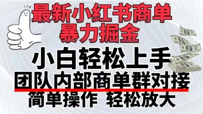 最新小红书商单，暴力掘金，单月稳定变现3W+-优优云网创