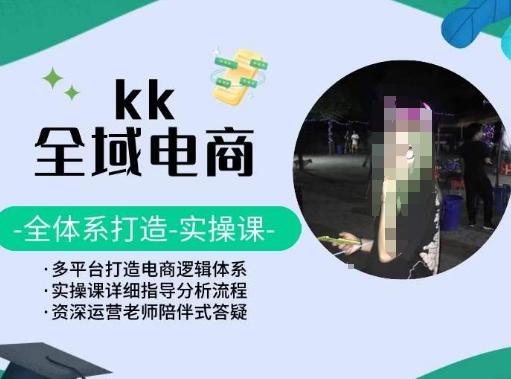 KK全域电商，全体系打造实操课，多平台打造电商逻辑体系-优优云网创