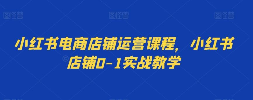 小红书电商店铺运营课程，小红书店铺0-1实战教学-优优云网创