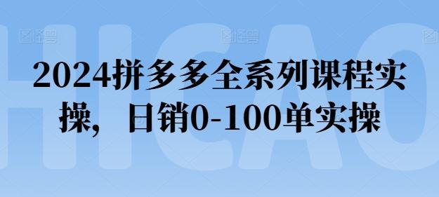 2024拼多多全系列课程实操，日销0-100单实操【必看】-优优云网创