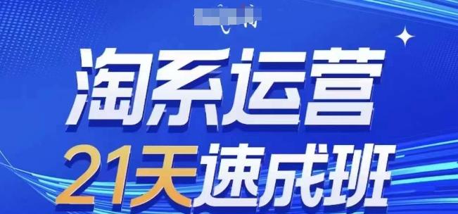 淘系运营21天速成班(更新24年7月)，0基础轻松搞定淘系运营，不做假把式-优优云网创