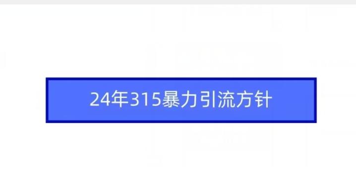 24年315暴力引流方针-优优云网创