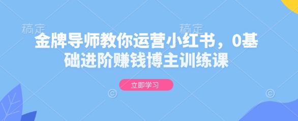金牌导师教你运营小红书，0基础进阶赚钱博主训练课-优优云网创