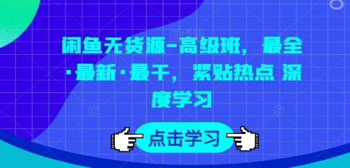 闲鱼无货源-高级班，最全·最新·最干，紧贴热点 深度学习-优优云网创