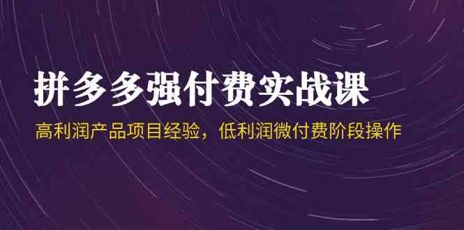 拼多多强付费实战课-44期，高利润产品项目经验，低利润微付费阶段操作-优优云网创