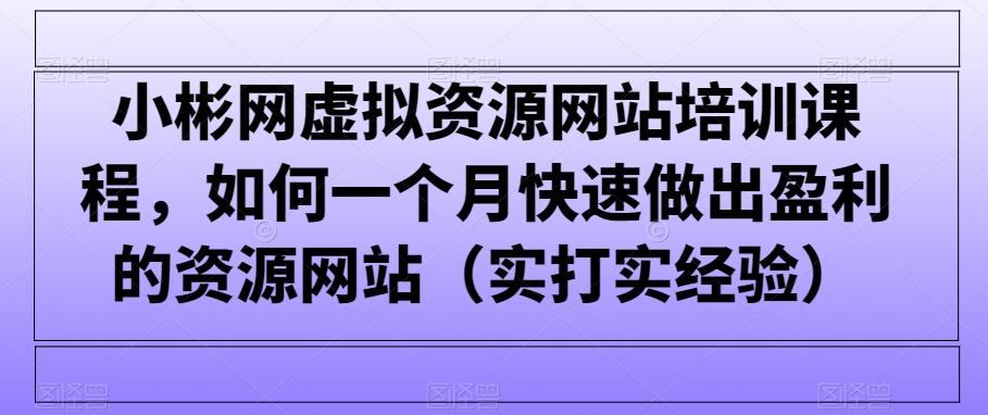 小彬网虚拟资源网站培训课程，如何一个月快速做出盈利的资源网站(实打实经验)-优优云网创