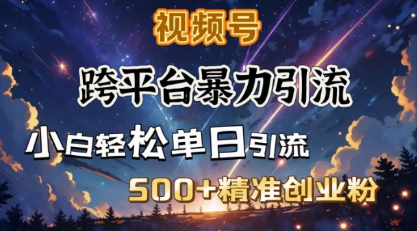 跨平台暴力引流，私域完美闭环，日引500+精准创业粉-优优云网创
