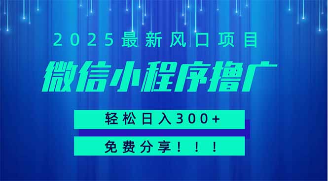 微信小程序撸广，最新风口项目，日入300+ 免费分享 可批量操作 小白可…-优优云网创