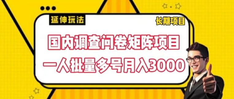 国内调查问卷矩阵项目，一人批量多号月入3000【揭秘】-优优云网创