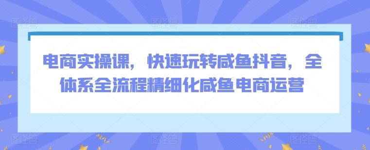 电商实操课，快速玩转咸鱼抖音，全体系全流程精细化咸鱼电商运营-优优云网创