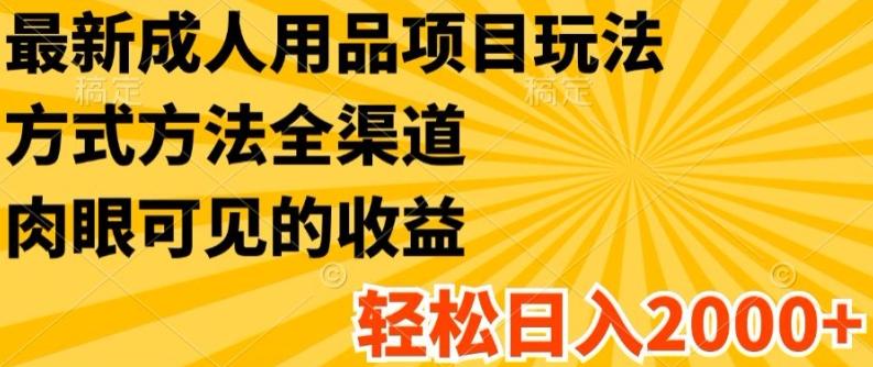 最新成人用品项目玩法，方式方法全渠道，轻松日入2K+【揭秘】-优优云网创