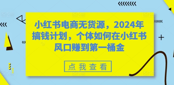 小红书电商无货源，2024年搞钱计划，个体如何在小红书风口赚到第一桶金-优优云网创