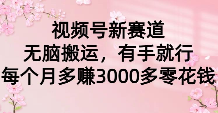 (9278期)视频号新赛道，无脑搬运，有手就行，每个月多赚3000多零花钱-优优云网创