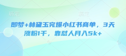 即梦+林黛玉完爆小红书商单，3天涨粉1千，靠怼人月入5k+-优优云网创